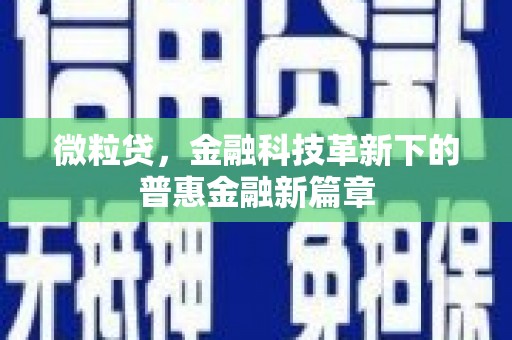 卓尼微粒贷，金融科技革新下的普惠金融新篇章