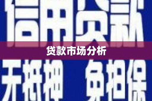 卓尼贷款市场分析