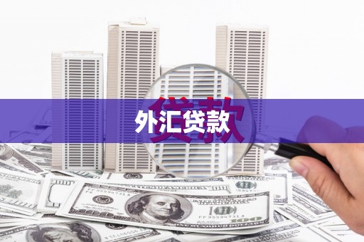 卓尼外汇贷款