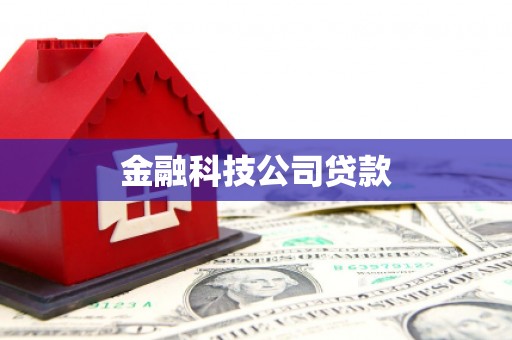卓尼金融科技公司贷款