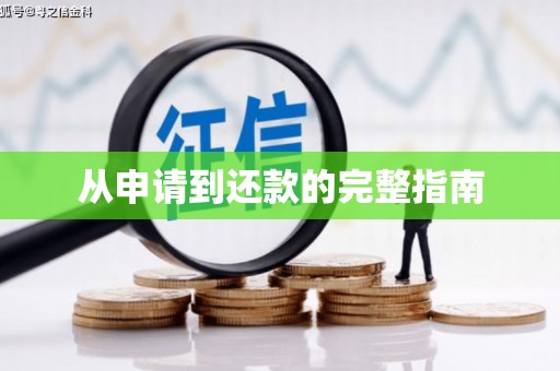 卓尼从申请到还款的完整指南