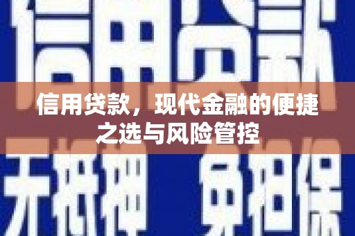 卓尼信用贷款，现代金融的便捷之选与风险管控