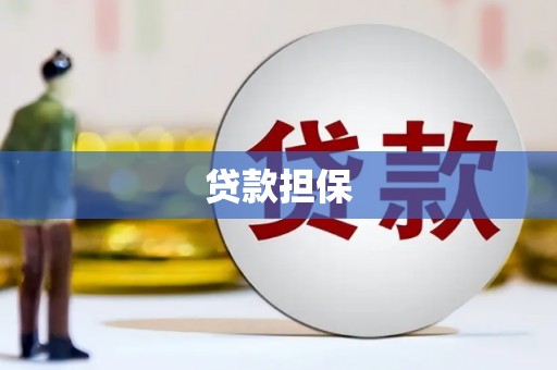 卓尼贷款担保