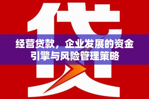 卓尼经营贷款，企业发展的资金引擎与风险管理策略