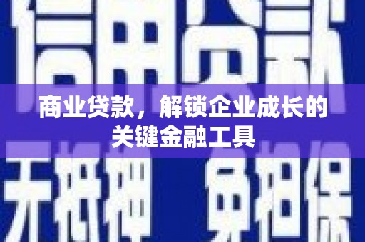 卓尼商业贷款，解锁企业成长的关键金融工具