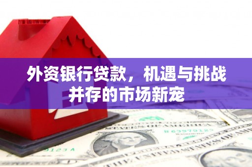 卓尼外资银行贷款，机遇与挑战并存的市场新宠