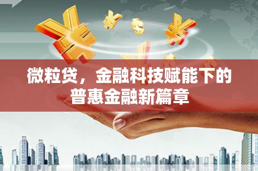 卓尼微粒贷，金融科技赋能下的普惠金融新篇章