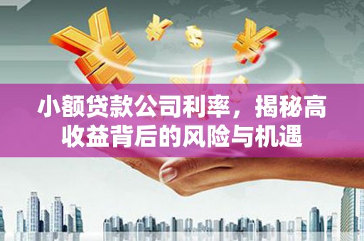卓尼小额贷款公司利率，揭秘高收益背后的风险与机遇