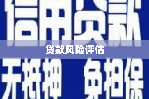 卓尼贷款风险评估
