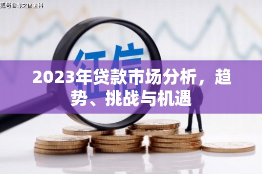 卓尼2023年贷款市场分析，趋势、挑战与机遇