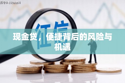 卓尼现金贷，便捷背后的风险与机遇