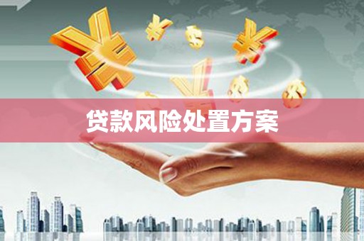 卓尼贷款风险处置方案