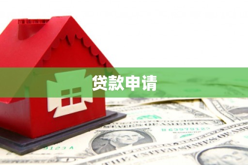 卓尼贷款申请