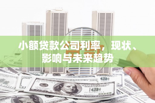 卓尼小额贷款公司利率，现状、影响与未来趋势