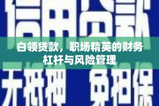 卓尼白领贷款，职场精英的财务杠杆与风险管理