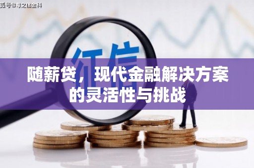 卓尼随薪贷，现代金融解决方案的灵活性与挑战