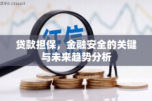 卓尼贷款担保，金融安全的关键与未来趋势分析
