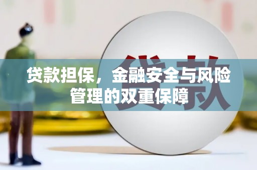 卓尼贷款担保，金融安全与风险管理的双重保障