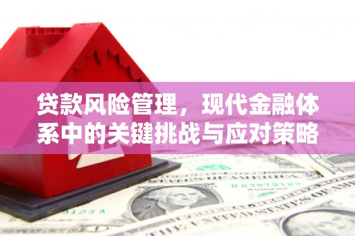 卓尼贷款风险管理，现代金融体系中的关键挑战与应对策略