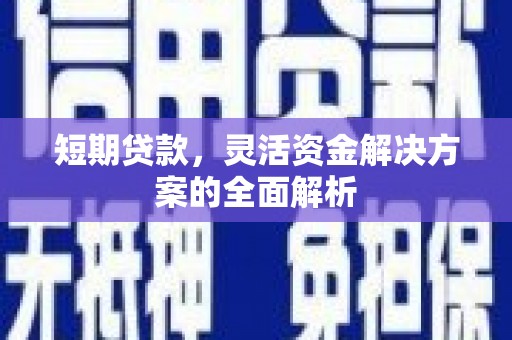 卓尼短期贷款，灵活资金解决方案的全面解析