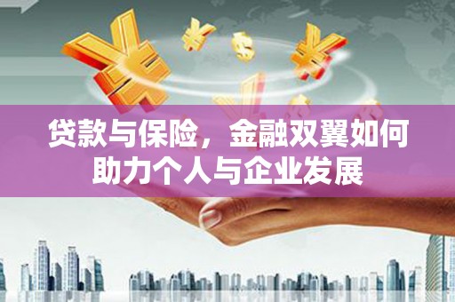 卓尼贷款与保险，金融双翼如何助力个人与企业发展