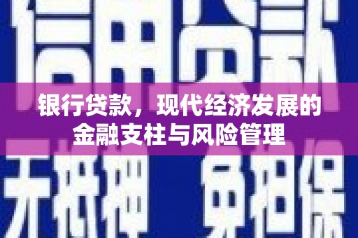 卓尼银行贷款，现代经济发展的金融支柱与风险管理