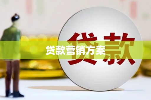 卓尼贷款营销方案