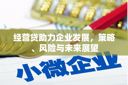卓尼经营贷助力企业发展，策略、风险与未来展望