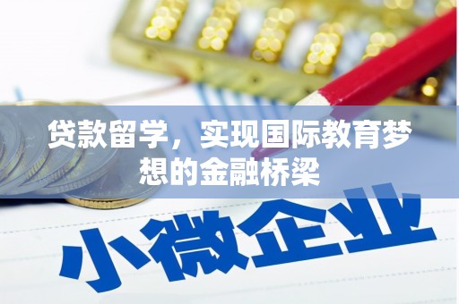 卓尼贷款留学，实现国际教育梦想的金融桥梁