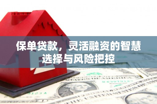 卓尼保单贷款，灵活融资的智慧选择与风险把控
