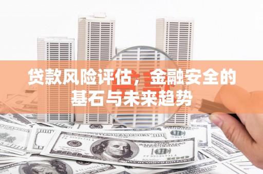 卓尼贷款风险评估，金融安全的基石与未来趋势