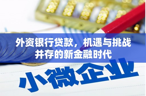 卓尼外资银行贷款，机遇与挑战并存的新金融时代