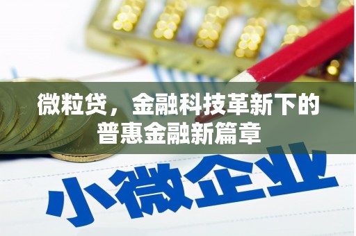 卓尼微粒贷，金融科技革新下的普惠金融新篇章