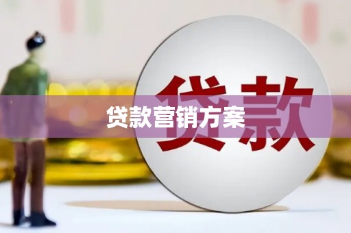 卓尼贷款营销方案
