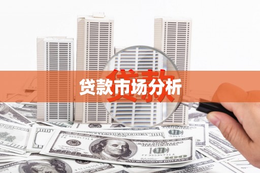 卓尼贷款市场分析