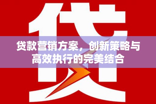 卓尼贷款营销方案，创新策略与高效执行的完美结合