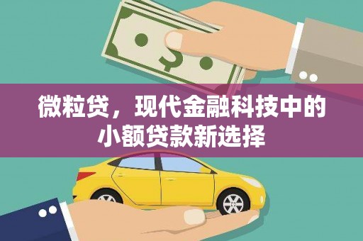 卓尼微粒贷，现代金融科技中的小额贷款新选择
