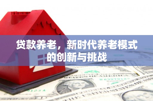卓尼贷款养老，新时代养老模式的创新与挑战