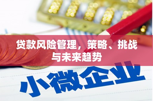 卓尼贷款风险管理，策略、挑战与未来趋势