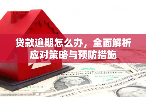 卓尼贷款逾期怎么办，全面解析应对策略与预防措施