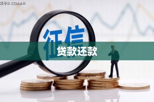 卓尼贷款还款