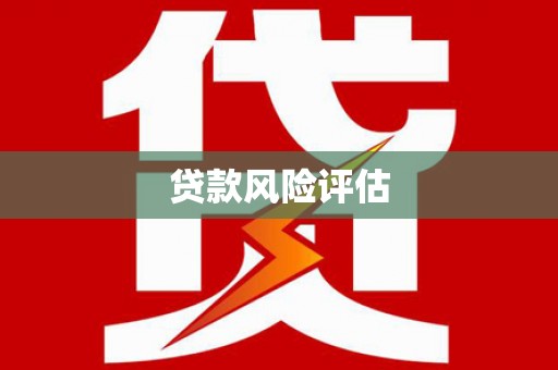 卓尼贷款风险评估