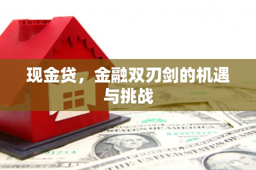 卓尼现金贷，金融双刃剑的机遇与挑战