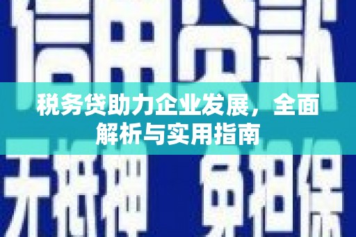 卓尼税务贷助力企业发展，全面解析与实用指南