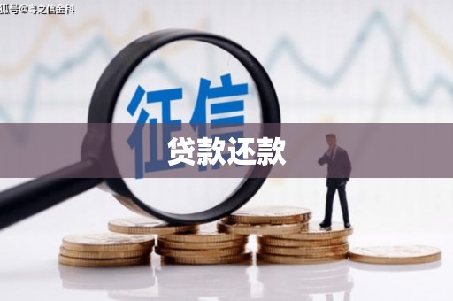 卓尼贷款还款