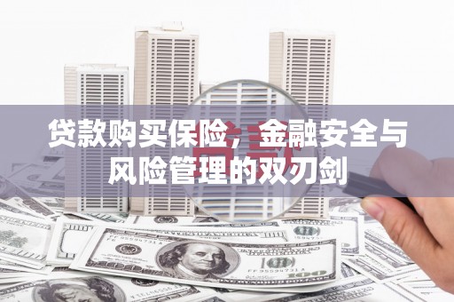 卓尼贷款购买保险，金融安全与风险管理的双刃剑