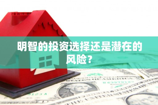 卓尼明智的投资选择还是潜在的风险？