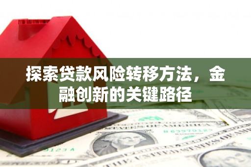 卓尼探索贷款风险转移方法，金融创新的关键路径