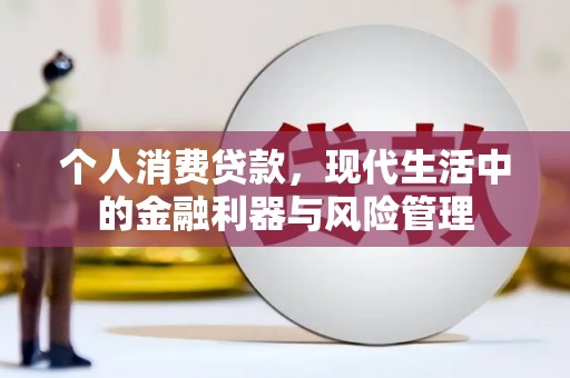 卓尼个人消费贷款，现代生活中的金融利器与风险管理