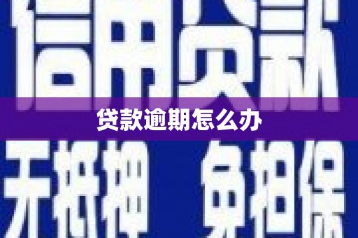 卓尼贷款逾期怎么办